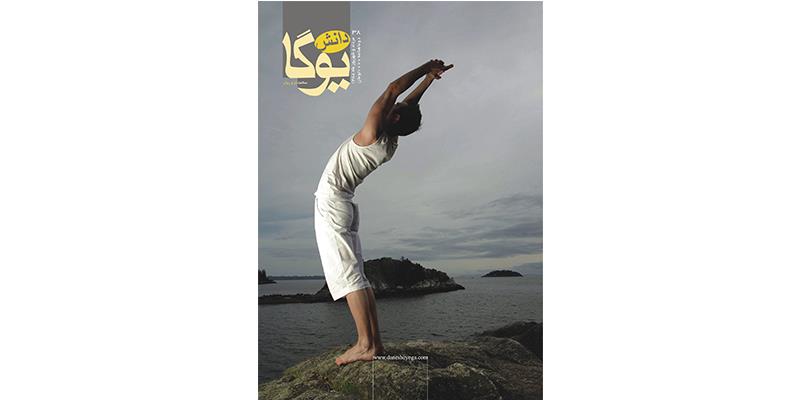 مجلات دانش یوگا (شماره های 31 تا 40)
